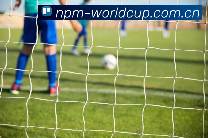 2026世界杯 品牌故事