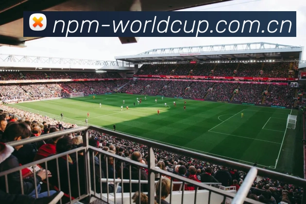 扫码下载 2026世界杯 App