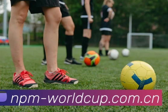 2026世界杯 多终端观赛
